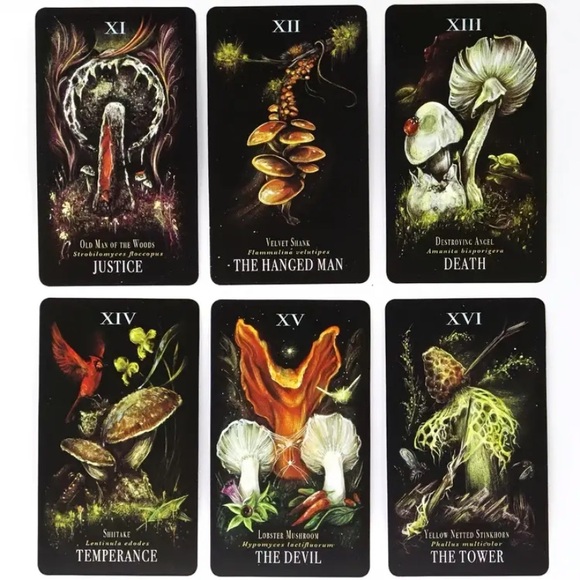 Midnight Magic: A Tarot Deck of Mushrooms DELUXE BUNDLE w Tarot NECKLACE & More! - Picture 11 of 15